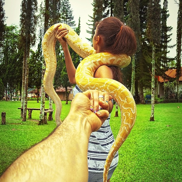 the snakes of Bali