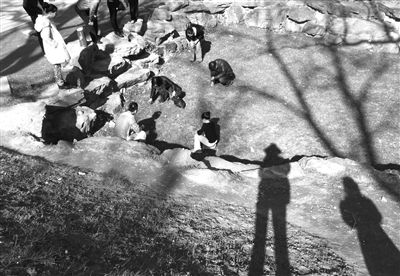 4月7日，多名游客在圆明园西洋楼遗址的绿地上挖草