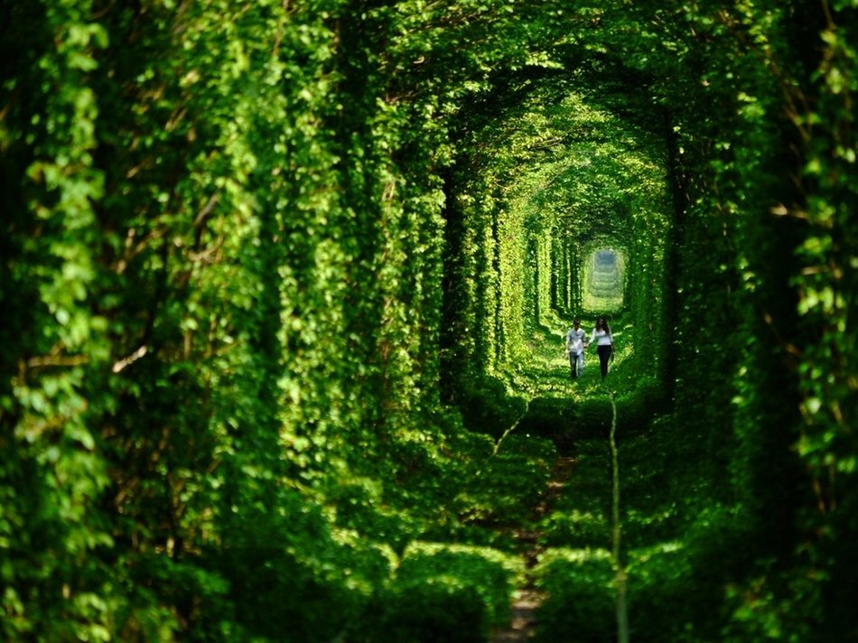 乌克兰“爱的隧道”。