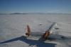南极洲，麦克默多海峡 Pegasus飞机。