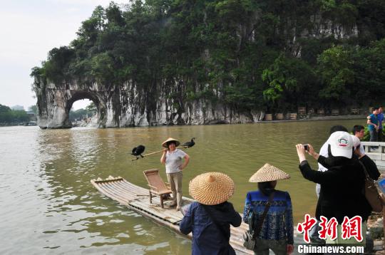 图为游客游览象鼻山景区。　唐梦宪　摄