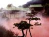 　　日本，别府，别府九大“地狱”。日本别府拥有2900多处温泉，其中九大“地狱”最为著名。它们有着生动的名字，如“海地狱”和“鬼石坊主地狱”。还有排在第一位的“血地狱”，因其池水含铁，所以呈现出红色。