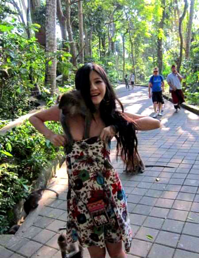 巴厘岛猴子撕破女游客上衣