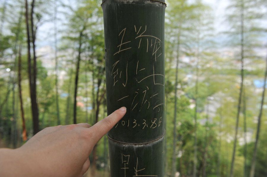 2013年4月29日，在浙江省临安市钱王陵园景区安国楼的柱子上，游客刻画在毛竹上的字清晰可见。