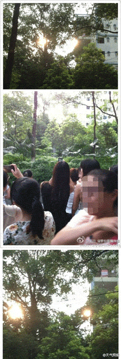 网友拍摄的两个太阳奇景