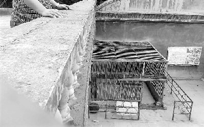 河南新密动物园棕熊冲出铁笼咬死饲养员(图)