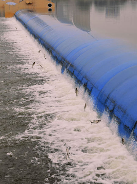 太原汾河景区南内环桥附近