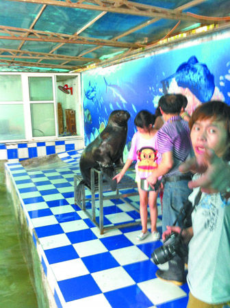 海狮馆内的摄影师警惕性很高，禁止记者拍照。