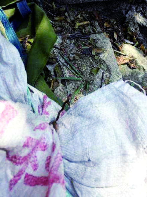 “缓冲垫”上裸露在外的铁丝