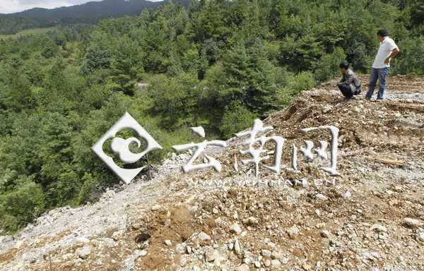一处林区被工程弃土掩埋