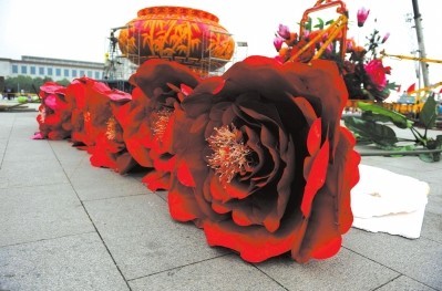 今年的牡丹花比去年的大一圈儿，花心部分是旧花瓣再利用。　　　　　　京华时报记者徐晓帆摄