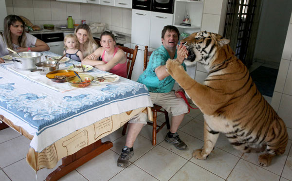老虎与Aryas Borges的家人一起吃饭