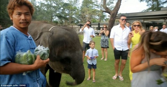 Raucous: Mr Joffe said that the Australians