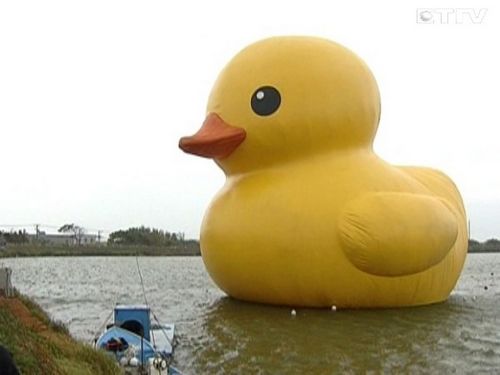 台湾桃园大黄鸭完成充气26日可正式与游客见面