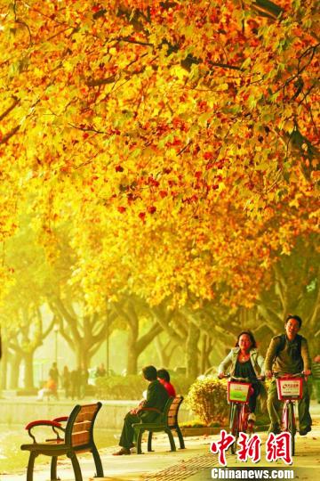 杭州旅游部门发布“爱情马路”玉古路被评为“十分浪漫”