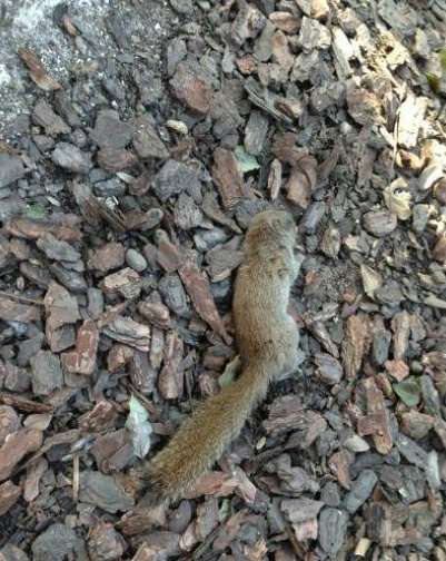 点击图片分享到上海滩微博