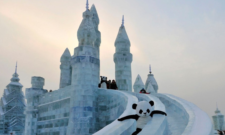 第2张 2013年1月11日，黑龙江省哈尔滨，一名穿着熊猫服装的工作人员从冰雕上滑下。