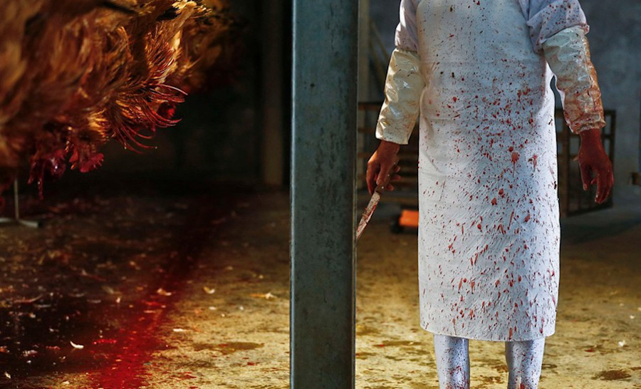 第6张 2013年4月12日，上海，屠宰场的一名员工持刀站在处理鸡的生产线上。