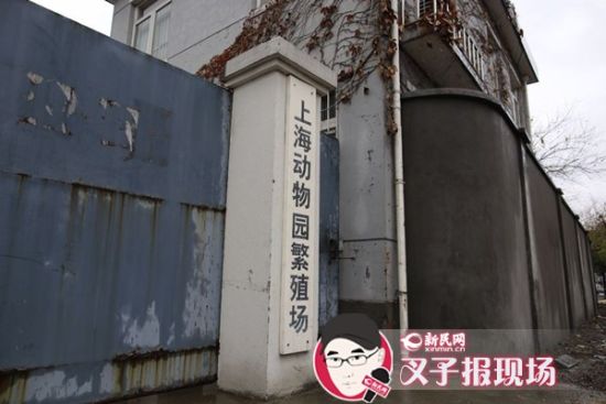 图说：新民网记者赶到时，上海动物园繁殖场大门紧闭。新民网 记者 萧君玮 摄 