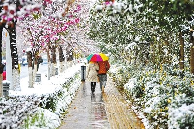 一夜间“春城”变“雪城”。