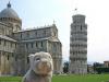 意大利行：旅行兔用它的方式环游了意大利，并参观了比萨斜塔。