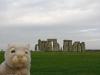 英格兰游：旅行兔在被偷之前访问了在威尔特郡的巨石阵。