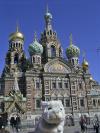 一路向东：旅行兔在俄罗斯的圣彼得堡教堂前摆起了婀娜的姿势。
