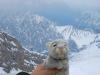 在德国的最高峰——祖格峰上，旅行兔看上去似乎很冷。