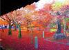 网友西田五郎发布日本京都秋景图。