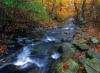  网友Luray Caverns发布美国路瑞溶洞秋景图。
