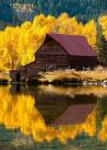  美国科罗拉多州的湖城，远处的墨绿衬着近处的明黄，赤红的木屋显得寂寥却又沉静。