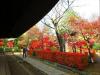 日本古庙里，树叶已慢慢落红，瑟瑟的秋风中却还飘荡着古雅的风情。
