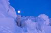 Norbert Rosing拍摄加拿大马尼托巴湖秋景，白雪覆盖地表，北极狐后圆月挂。