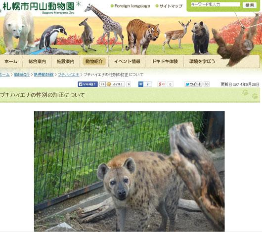 日本圆山动物园修正土狼性别。来源：日本圆山动物园网站