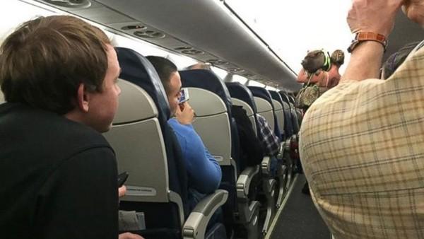 美国乘客带猪登机 因猪到处走动被赶下飞机(图)