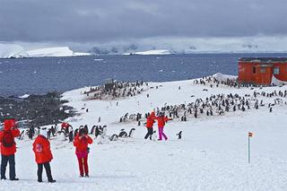 中国游客罔顾规定，走进企鹅群中拍照。