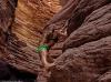 在一次探险中当地居民要求艾莉森爬上亚利桑那州大峡谷去亲吻眼镜蛇，很少有探险家敢这么做。