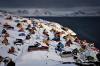 【第九名：格陵兰】虽然格陵兰的人口密度极低，但在这天寒地冻的地方生活却并不像想象中那么无趣。你可以在午夜等待冰川上日出的第一缕阳光，也可以坐船在苔原、碎冰间漂浮，运气好的话还能亲眼目睹极光。2016年，格陵兰将举办有史以来最大的北极冬季运动会，此时不去，更待何时？