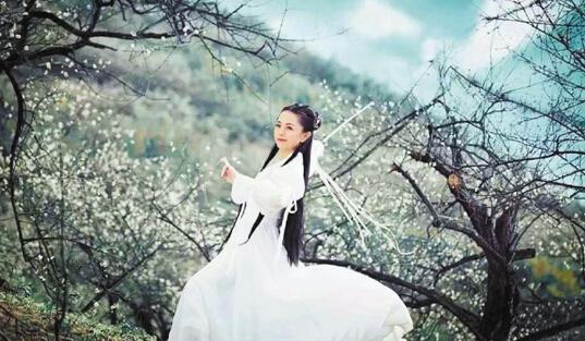 绍兴27岁团委书记自费写真为梅花代言 