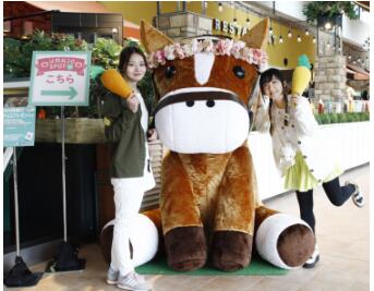 日本国民娱乐“赛马”成中国游客最新热门观光项目