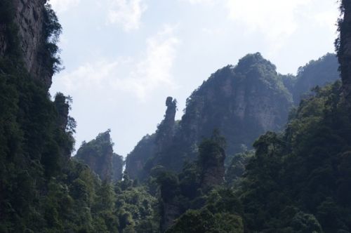 张家界老人救游客