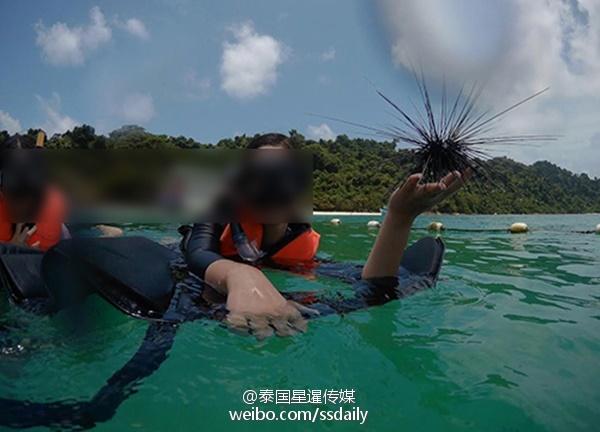 中国游客非法潜水捞海胆和巨蚌？外媒：遭蓄意抹黑