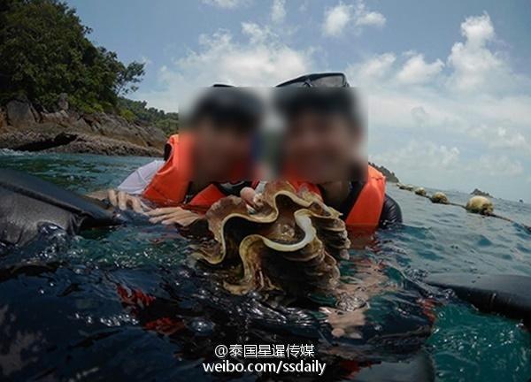 中国游客非法潜水捞海胆和巨蚌？外媒：遭蓄意抹黑