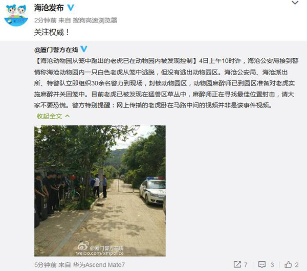 厦门海沧野生动物园跑离猛兽区老虎已被发现,麻醉师准备射击