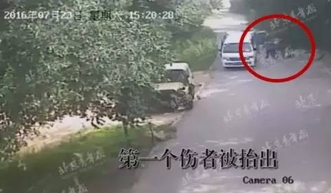 “八达岭老虎伤人”完整视频首度曝光:老虎把人拖走后究竟发生了什么