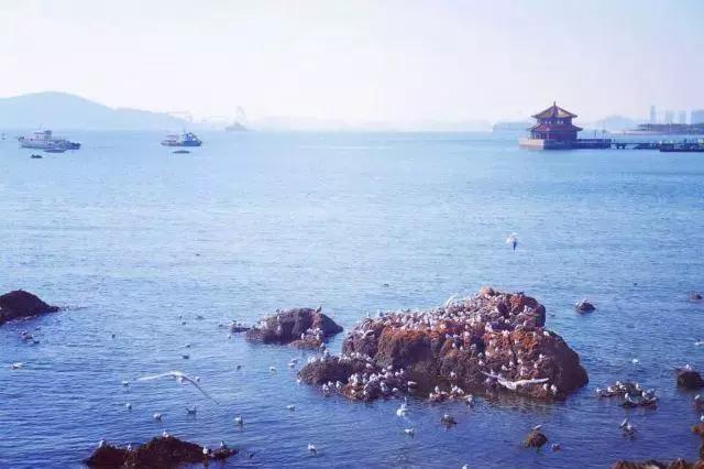 1498783920782812.jpg 1498783920782812.jpg