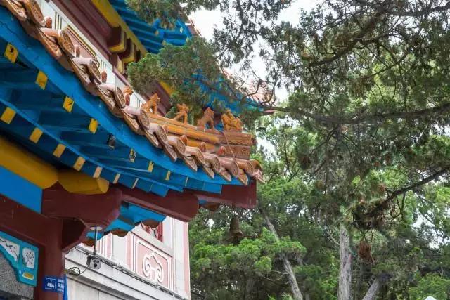 1498783920446378.jpg 1498783920446378.jpg