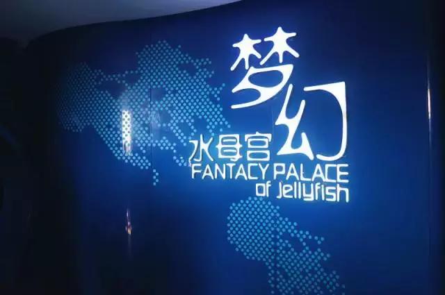 1498783920990991.jpg 1498783920990991.jpg