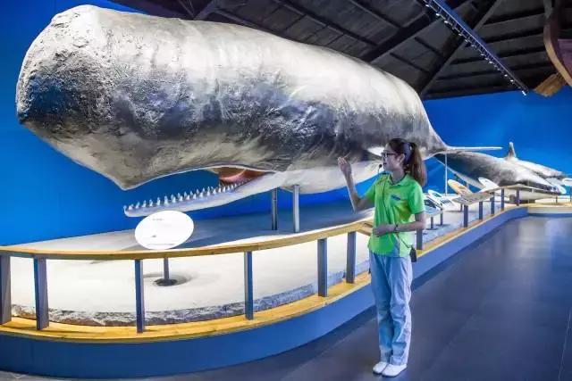 1498783921630741.jpg 1498783921630741.jpg