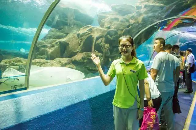 1498783921171243.jpg 1498783921171243.jpg